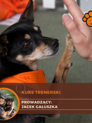 Kurs Trenerski