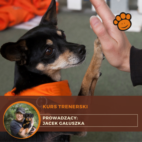 Kurs Trenerski