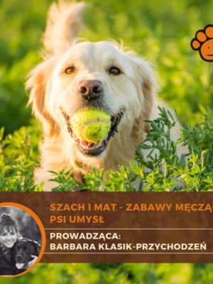 Szach i mat – zabawy męczące psi umysł