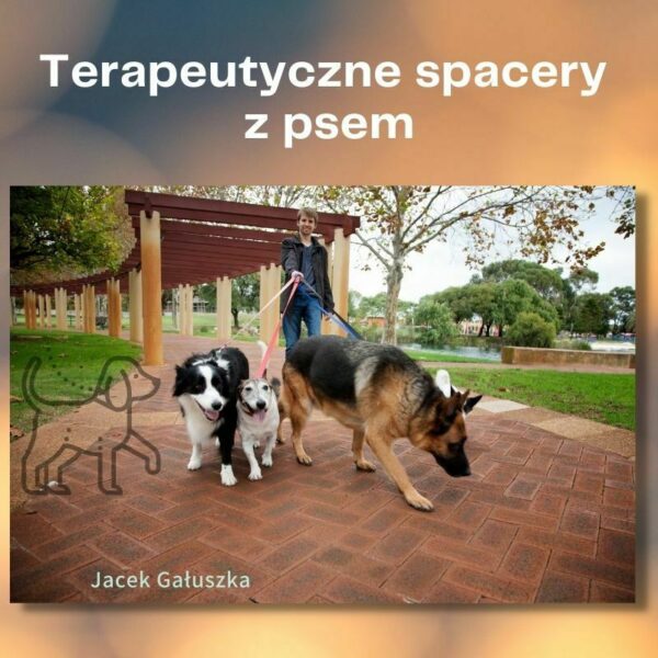 Terapeutyczne spacery z psem