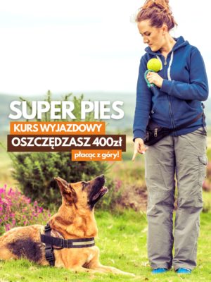 Kurs Wyjazdowy SUPER PIES (dla psów problemowych) 24 - 30 wrzesień