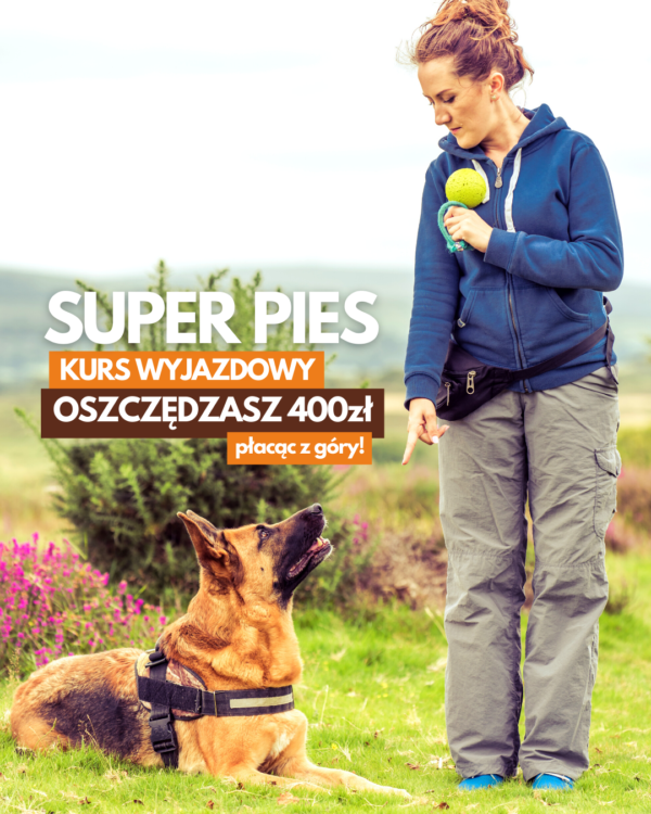 Kurs Wyjazdowy SUPER PIES (dla psów problemowych) 24 - 30 wrzesień